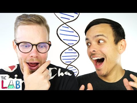 Our DNA Test Results! | The LAB - UCC552Sd-3nyi_tk2BudLUzA