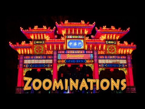 Zoominations Lowry Park Zoo Tampa FL - UC18kdQSMwpr81ZYR-QRNiDg