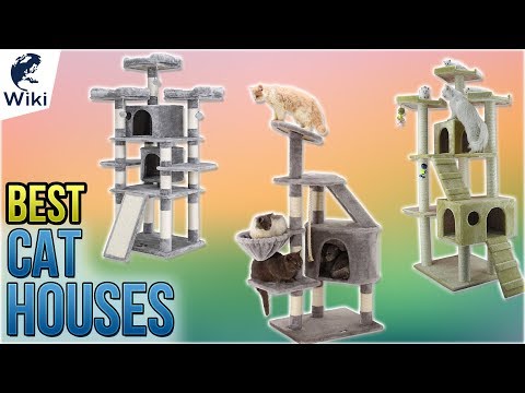 10 Best Cat Houses 2018 - UCXAHpX2xDhmjqtA-ANgsGmw