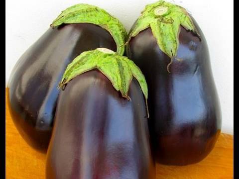 Eggplant 101 - How To Use and Work with Eggplant - UCj0V0aG4LcdHmdPJ7aTtSCQ