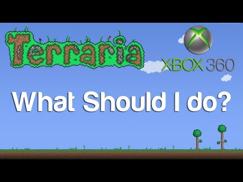 Terraria - What Should I do? - UCj5i58mCkAREDqFWlhaQbOw