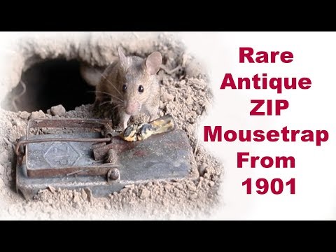 Rare Antique ZIP Mousetrap From 1901. Mousetrap Monday. - UCYbru-MPO1xjes4FVn61JUQ