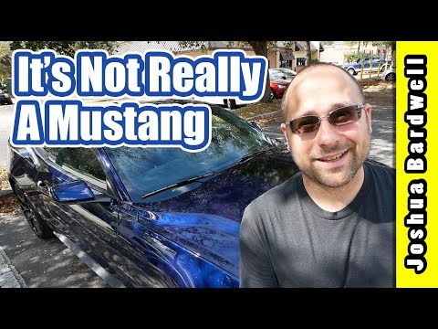 I got a Mustang. Alex Vanover is super humble. RACEDAYQUADS KWAD CAMP VLOG - UCX3eufnI7A2I7IkKHZn8KSQ