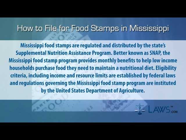 MS Emergency Food Stamps: How to Get Them