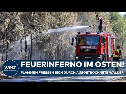 HITZEWELLE: Feuerwehr kämpft gegen Flammen – Erste Waldbrände in Deutschland