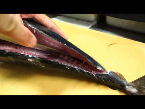 How To Fillet a Whole Tuna - How To Make Sushi Series - UCbULqc7U1mCHiVSCIkwEpxw