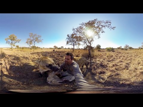 GoPro VR: Hyenas Wrestling With Kevin Richardson - UCqhnX4jA0A5paNd1v-zEysw