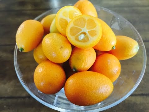 What is Kumquats and How To Eat Them with Raihana's Cuisines - UCoq4cyttGVBzqB5oDtSQsBA