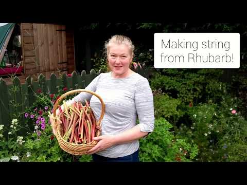 Making String from Rhubarb!