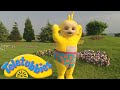 Teletubbies  Laa-Laa Wears Funny Underpants!   Official Classic Full Episode