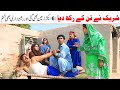 Shareek Ramzi Bilo, Jatti, , Bhootna,Shoki, Sanam, Falak Sher, jagga, Funny Video  Rachnavi Tv