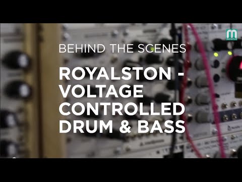 Royalston Sample Pack - Behind The Scenes - UCNyo1qwT4ZKuoWsyrrdoc6g