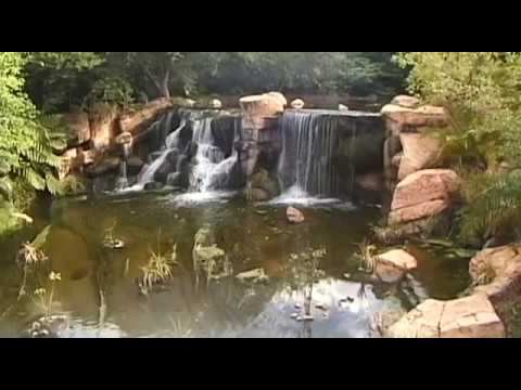 Sun City Vacation Travel Video Guide - UC3o_gaqvLoPSRVMc2GmkDrg