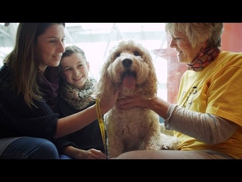 Dog Helps Sick Child | Secret life of Dogs | BBC - UCwmZiChSryoWQCZMIQezgTg