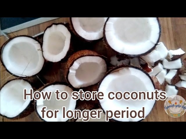 How To Preserve Coconut?