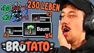 Absolut Wilder Dickerchen Build Brotato Gefahr 5 YouLoop