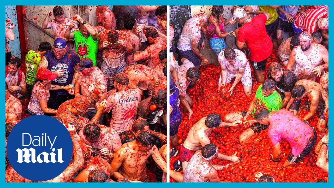 ‘Word’s biggest food fight’: Spain’s famous tomato Tomatina festival is back