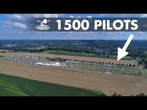 Flite Fest Crash Course! - UC9zTuyWffK9ckEz1216noAw