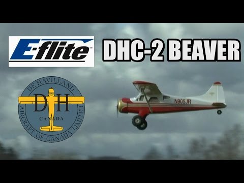 E-flite DHC-2 Beaver - Storm Clouds - UCvrwZrKFfn3fxbkpiSIW4UQ