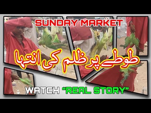 Sunday Market |TOTEY PAR ZULM KI INTEHA | in Urdu / Hindi Only on PBI - UC9DVa7Q1dv8U2yqjFo0r6cA