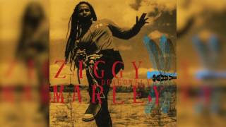 Dragonfly - Ziggy Marley | DRAGONFLY