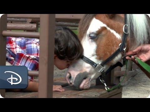 #DisneyKids: First Pony Ride | Walt Disney World - UC1xwwLwm6WSMbUn_Tp597hQ