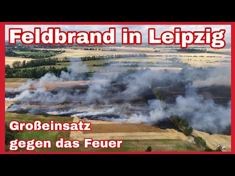 🔥FELDBRAND außer Kontrolle🔥FEUER läuft auf Waldstücke zu‼️🆘️Großeinsatz am Colmberg in Leipzig🚒