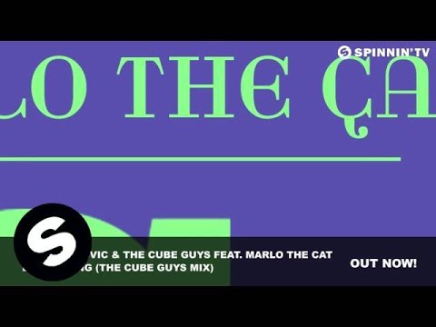 Baggi Begovic & The Cube Guys Feat. Marlo the Cat - Everything (The Cube Guys Mix) - UCpDJl2EmP7Oh90Vylx0dZtA