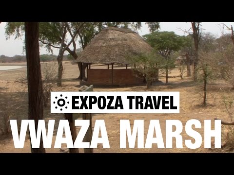 Vwaza Marsh (Malawi) Vacation Travel Video Guide - UC3o_gaqvLoPSRVMc2GmkDrg