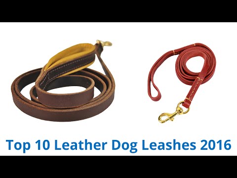 10 Best Leather Dog Leashes 2016 - UCXAHpX2xDhmjqtA-ANgsGmw