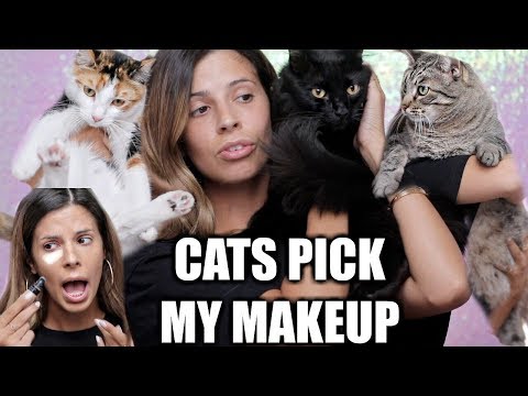 MY CATS PICK MY MAKEUP - UCKMugoa0uHpjUuq14yOpagw