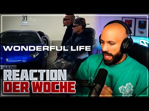 Luciano - WONDERFUL LIFE (6PM RECORDS, Hurts & SIRA) / 2Bough reagiert