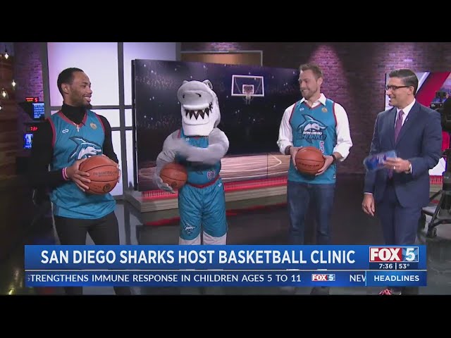 The San Diego Sharks Basketball Team is on the Rise