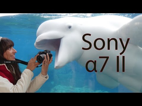 Sony a7II Review - UCDkJEEIifDzR_2K2p9tnwYQ