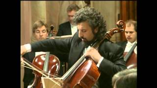Mischa Maisky - Haydn - Violin Concerto No 4 in G major