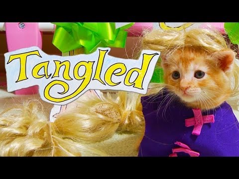 Disney's Tangled (Cute Kitten Version) - UCPIvT-zcQl2H0vabdXJGcpg