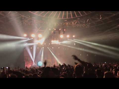 Palmen aus Plastik Tour Berlin - ciao ciao