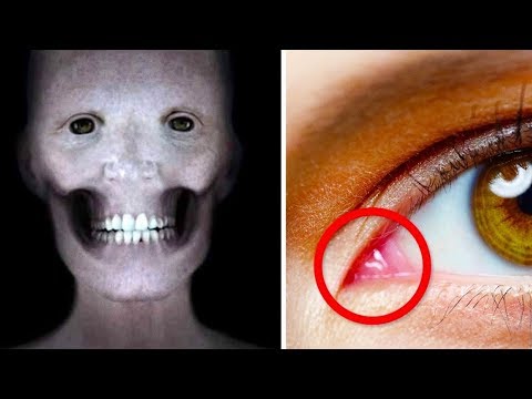 17 Jaw-Dropping Facts You Didn't Know About the Human Body - UC4rlAVgAK0SGk-yTfe48Qpw