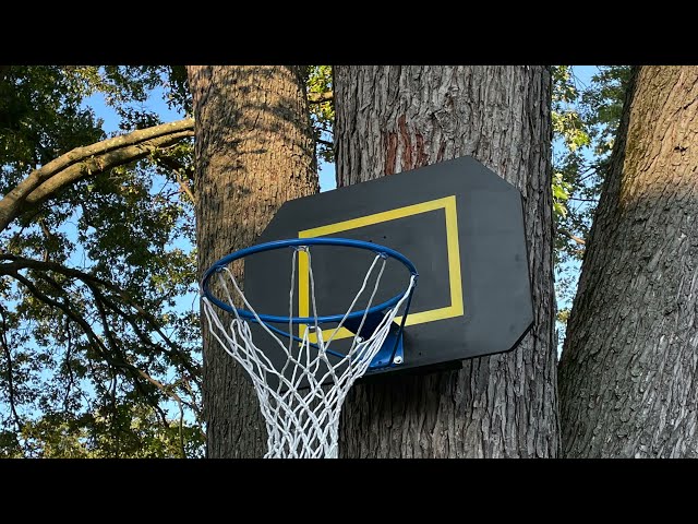 How to Hang a Basketball Hoop on a Tree