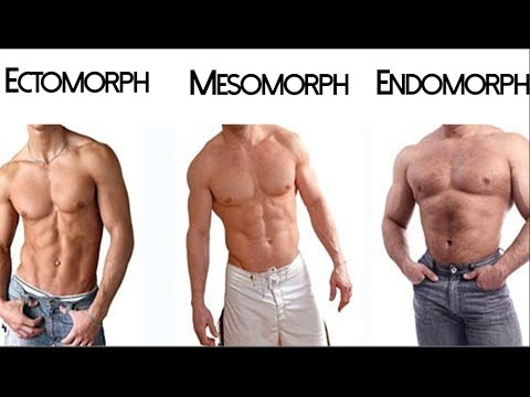 The Somatotype Myth: Ectomorph Mesomorph Endomorph - UCHZ8lkKBNf3lKxpSIVUcmsg