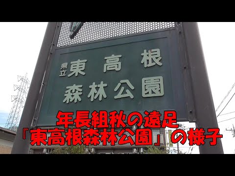 年長組 秋の遠足『東高根森林公園』の様子