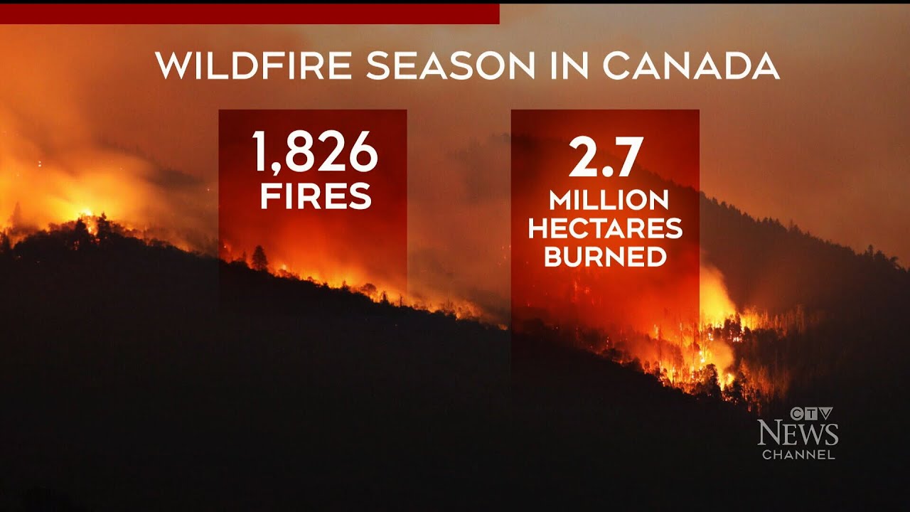 Feds ramping up investments to combat wildfires | CTV’s Question Period