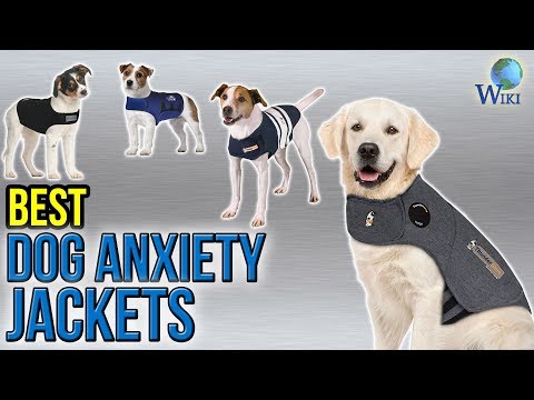 6 Best Dog Anxiety Jackets 2017 - UCXAHpX2xDhmjqtA-ANgsGmw