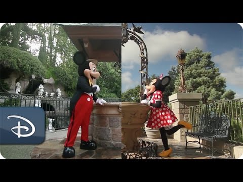 Disneyland Resort & Walt Disney World | A Tale of Two Disney Parks - UC1xwwLwm6WSMbUn_Tp597hQ