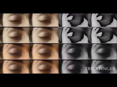 Red Hot Chili Peppers - The Greeting Song