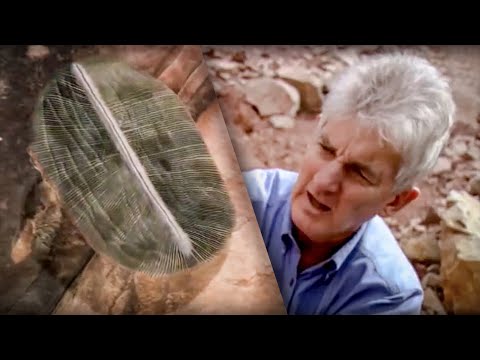 Earth's rarest and ancient fossils - BBC - UCwmZiChSryoWQCZMIQezgTg