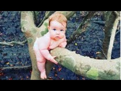 Top Funny Babies Playing Outdoor Baby Outdoor Video