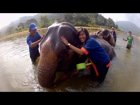 GoPro: Elephant Bath in Thailand - UCqhnX4jA0A5paNd1v-zEysw