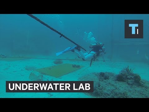 Check out the only permanent undersea research lab in the world - UCVLZmDKeT-mV4H3ToYXIFYg