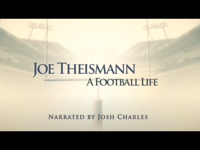 Is Joe Theismann In The Nfl Hall Of Fame?